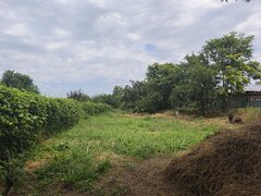 Izvoarele, Hotarele, Giurgiu