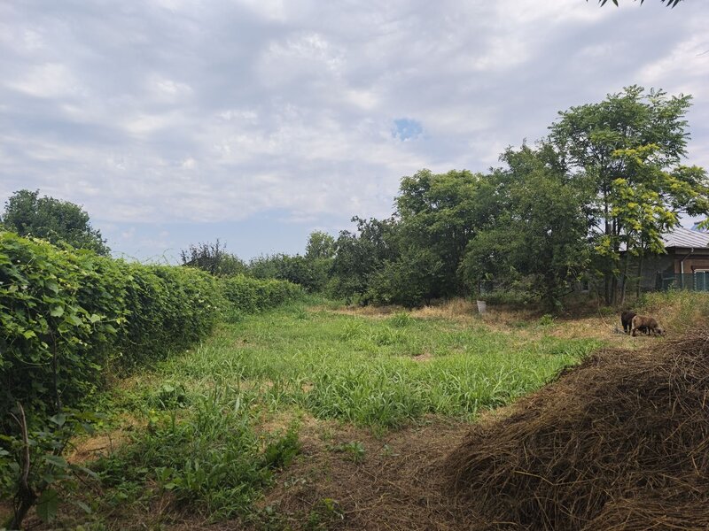 Izvoarele, Hotarele, Giurgiu,