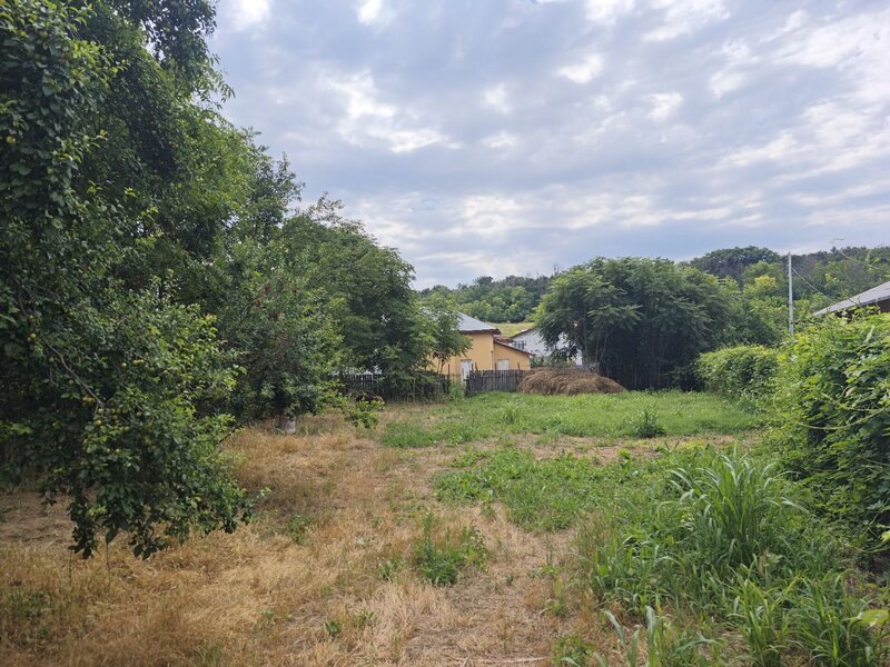 Izvoarele, Hotarele, Giurgiu,