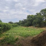 Izvoarele, Hotarele, Giurgiu